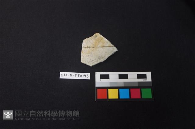 陶片藏品圖，第1張