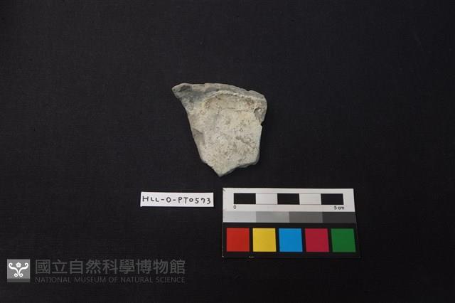 陶片藏品圖，第1張