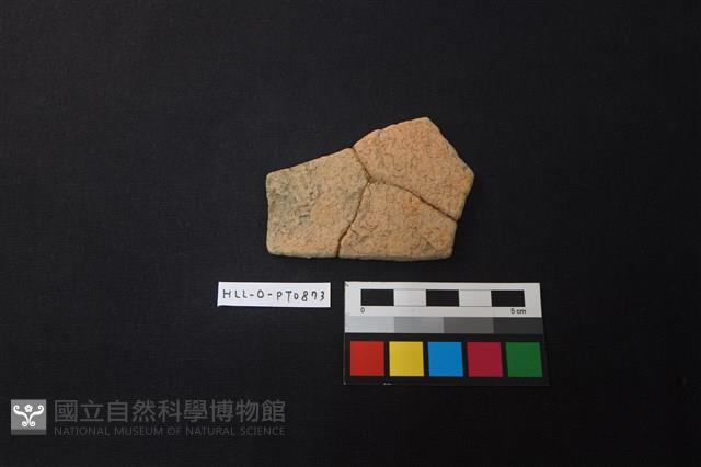 陶片藏品圖，第1張