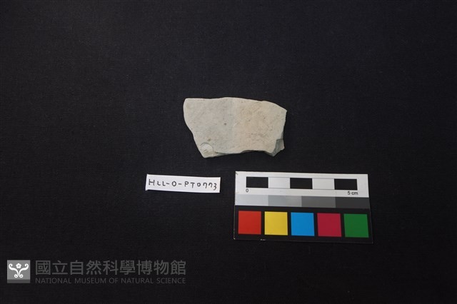 陶片藏品圖，第1張
