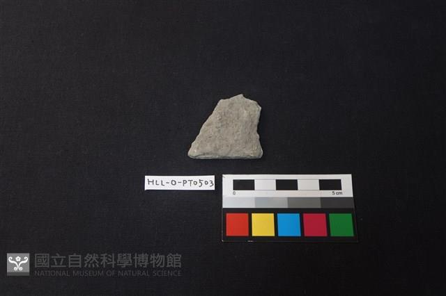 陶片藏品圖，第1張