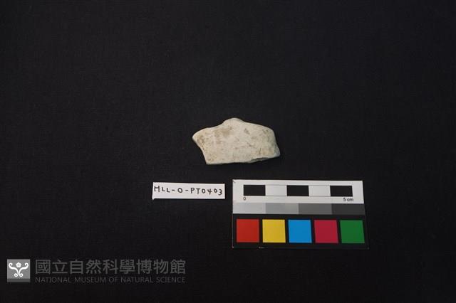 陶片藏品圖，第1張