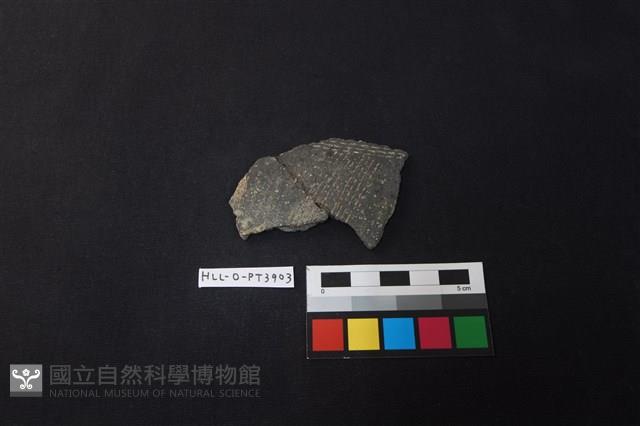 陶片藏品圖，第1張