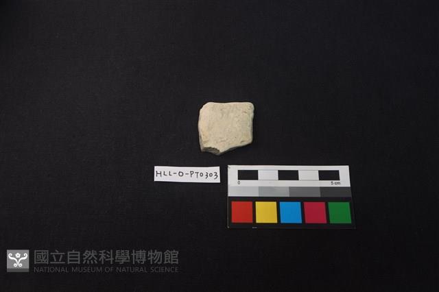 陶片藏品圖，第1張