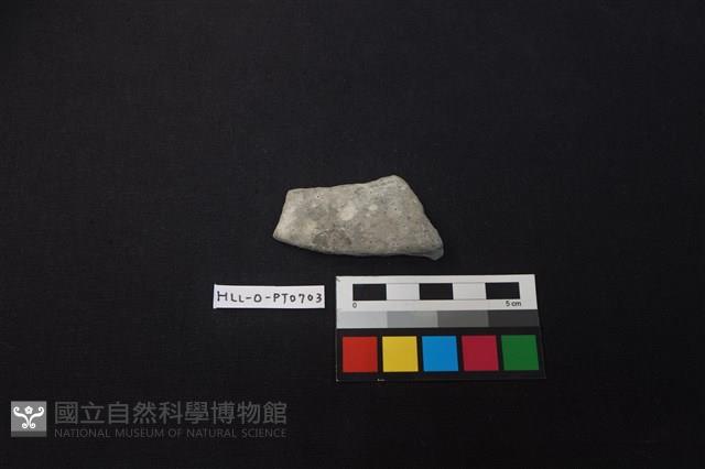 陶片藏品圖，第1張