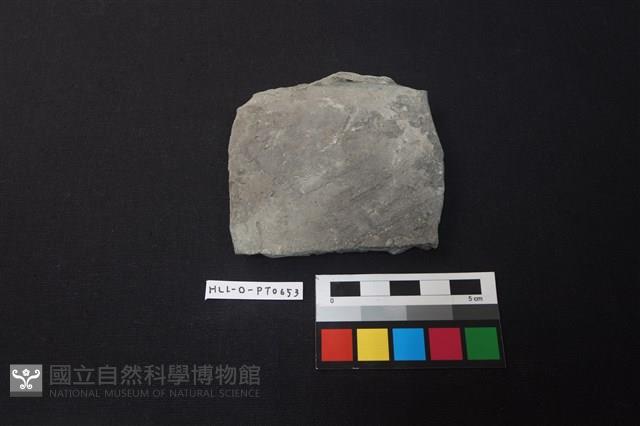 陶片藏品圖，第1張