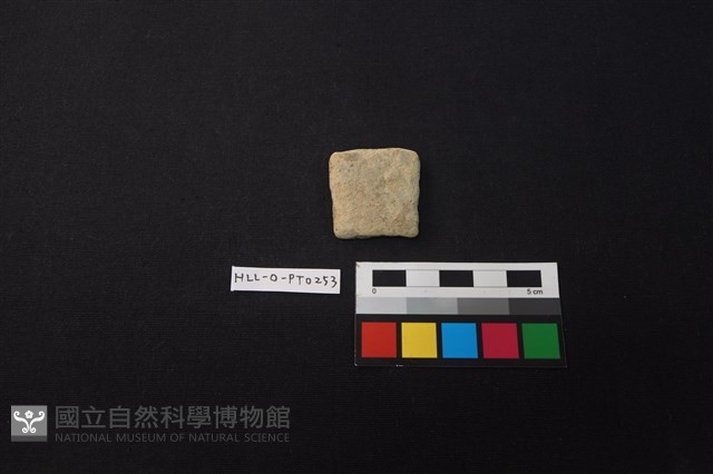 陶片藏品圖，第1張