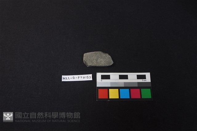陶片藏品圖，第1張