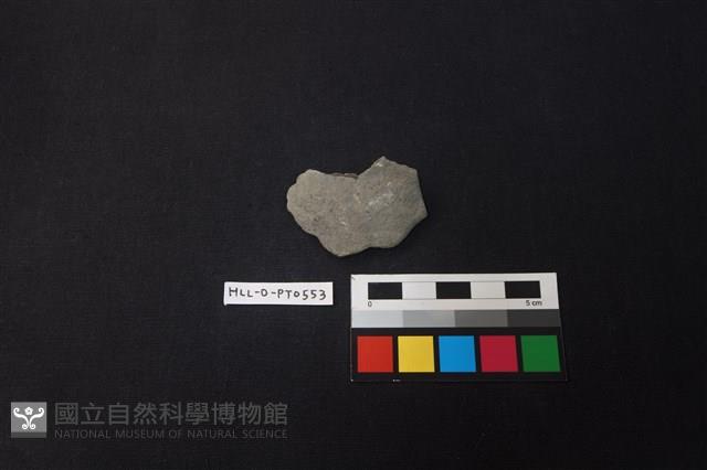 陶片藏品圖，第1張