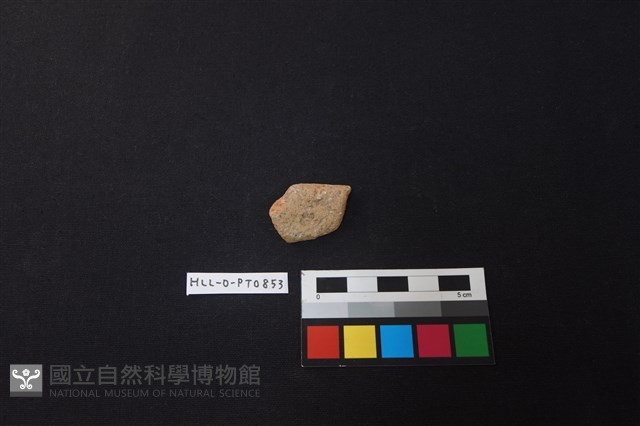 陶片藏品圖，第1張