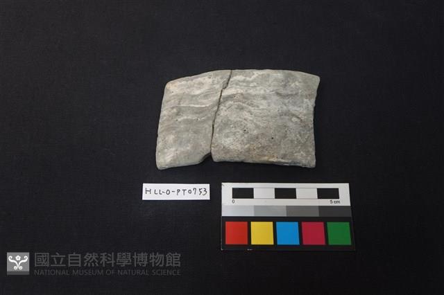 陶片藏品圖，第1張