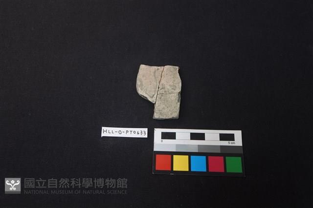 陶片藏品圖，第1張