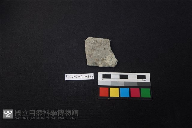 陶片藏品圖，第1張