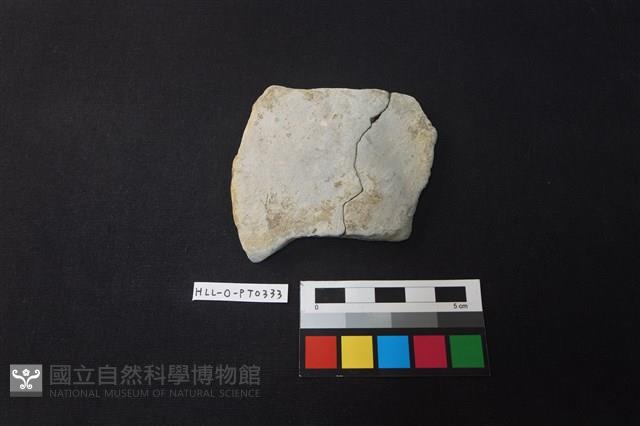 陶片藏品圖，第1張