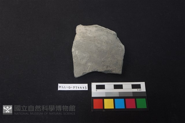 陶片藏品圖，第1張