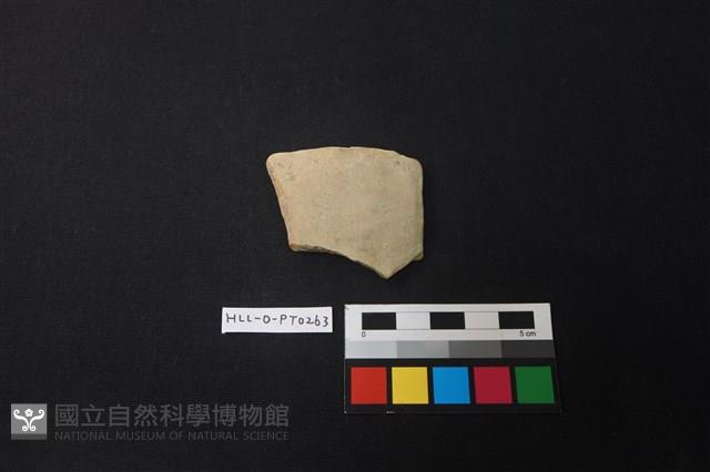 陶片藏品圖，第1張