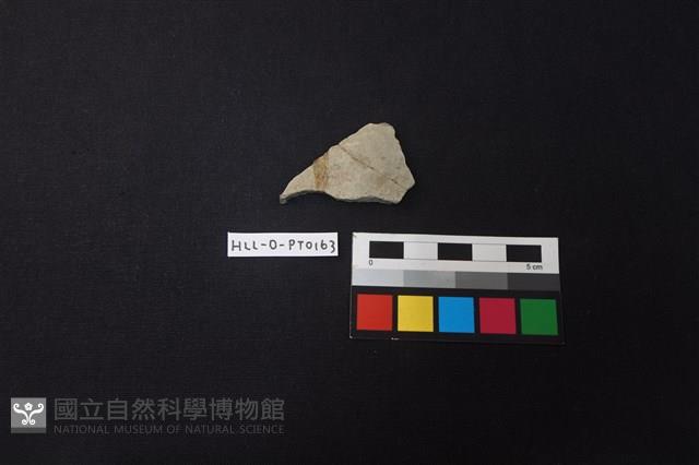 陶片藏品圖，第1張