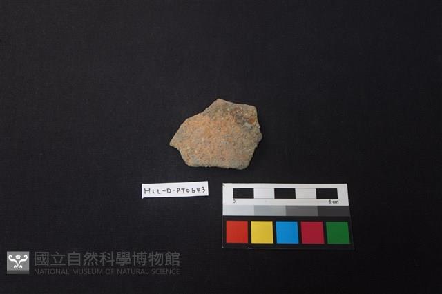 陶片藏品圖，第1張