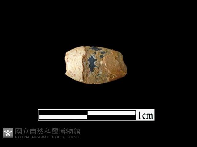 玻璃珠藏品圖，第1張