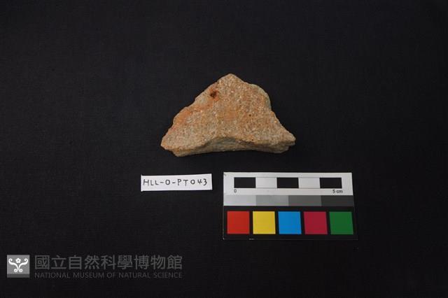 陶片藏品圖，第1張