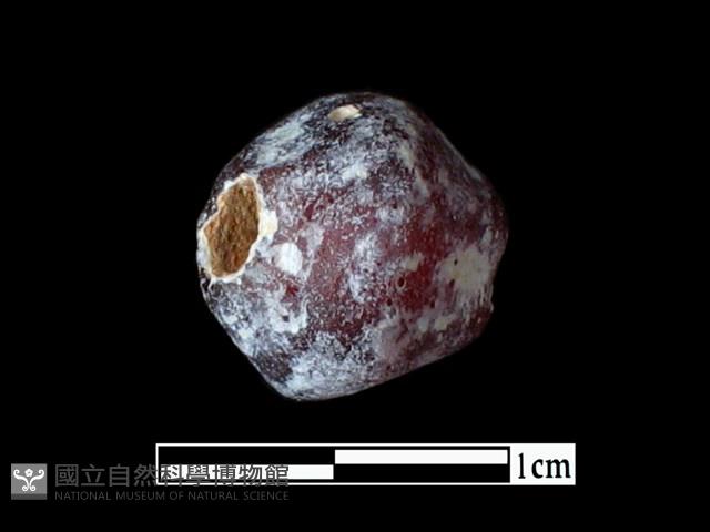 玻璃珠藏品圖，第1張