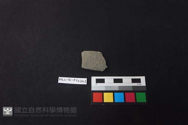 陶片藏品圖，第1張