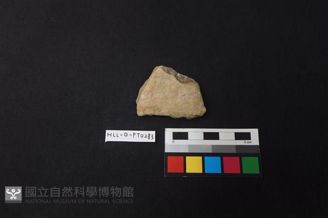 陶片藏品圖，第1張