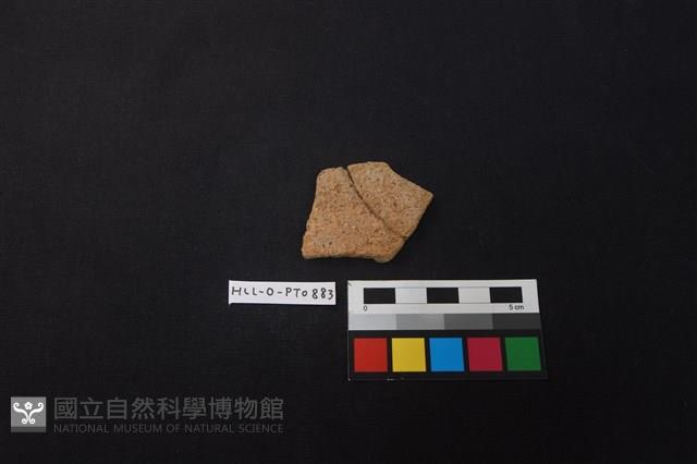 陶片藏品圖，第1張