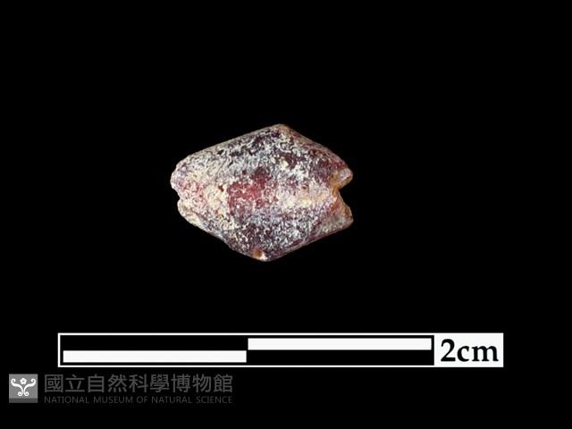 玻璃珠藏品圖，第1張