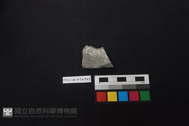 陶片藏品圖，第1張