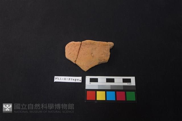 陶片藏品圖，第1張