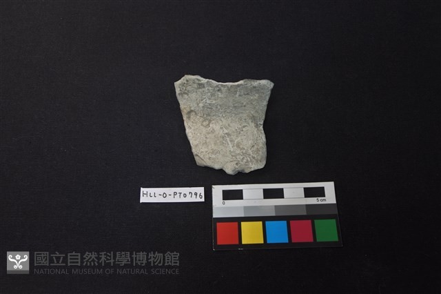 陶片藏品圖，第1張