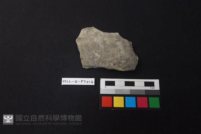 陶片藏品圖，第1張