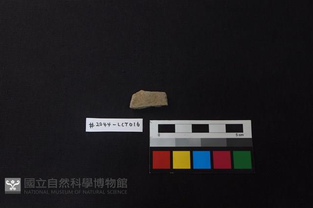 陶片藏品圖，第1張