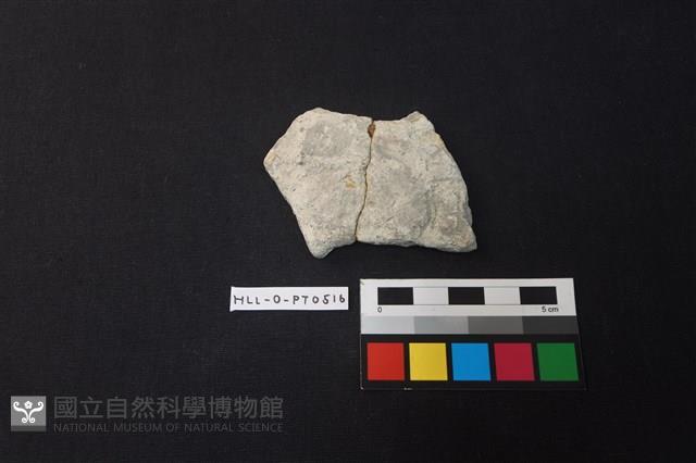 陶片藏品圖，第1張