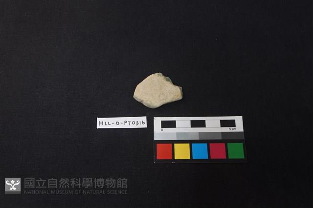 陶片藏品圖，第1張