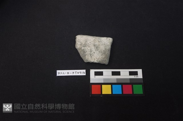 陶片藏品圖，第1張
