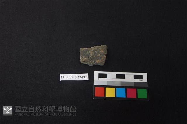 陶片藏品圖，第1張