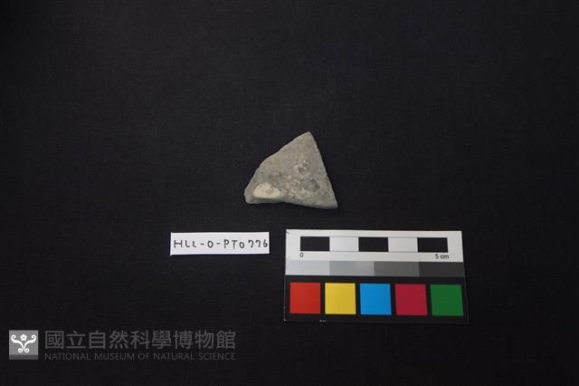 陶片藏品圖，第1張