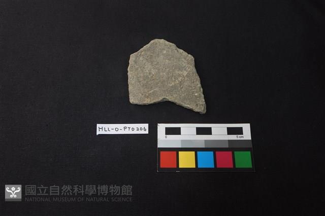 陶片藏品圖，第1張