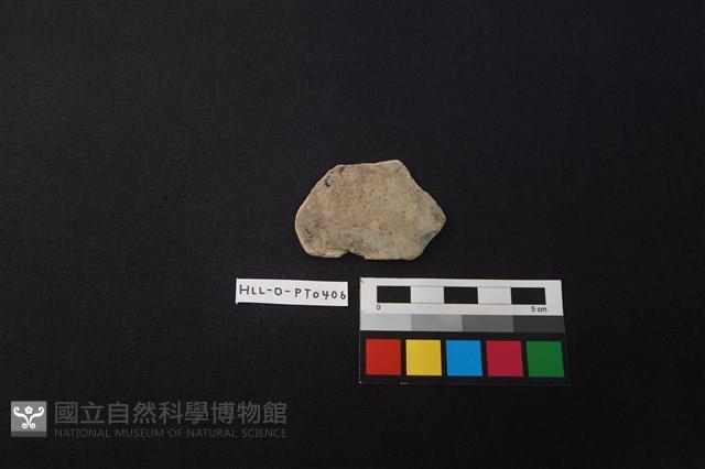 陶片藏品圖，第1張