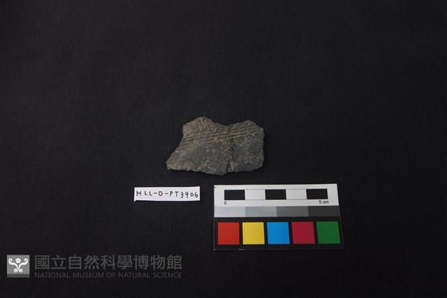 陶片藏品圖，第1張