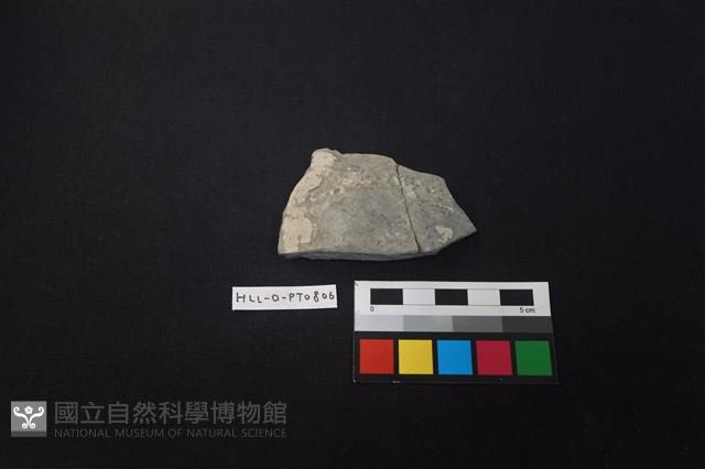 陶片藏品圖，第1張