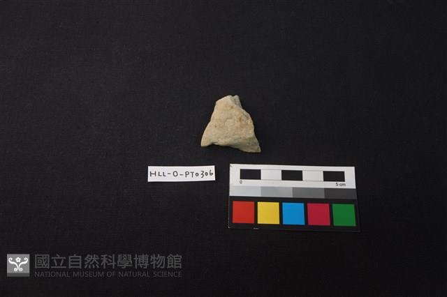 陶片藏品圖，第1張