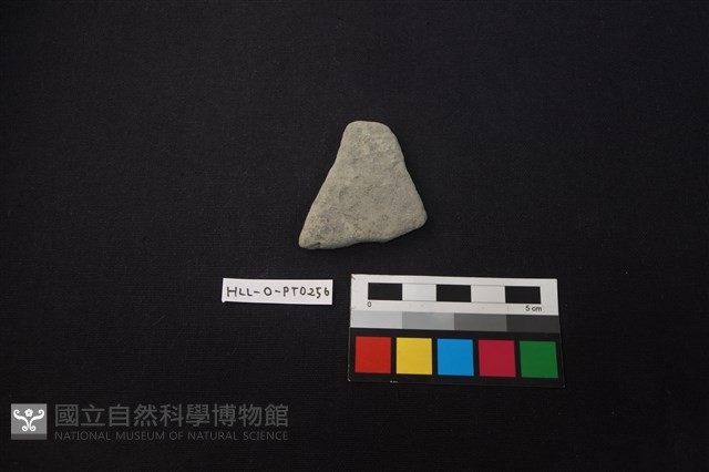 陶片藏品圖，第1張