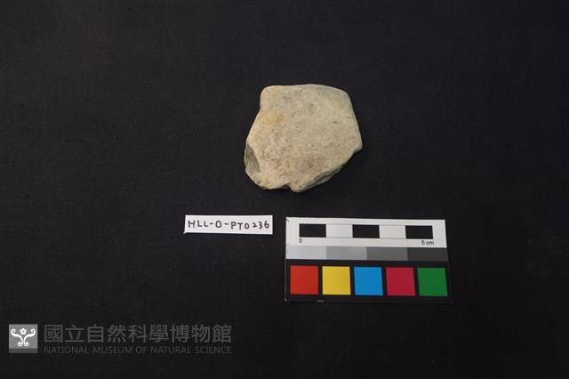 陶片藏品圖，第1張