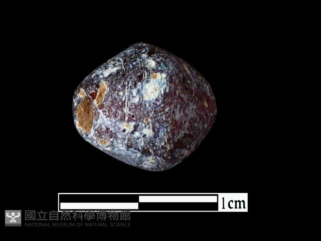 玻璃珠藏品圖，第1張