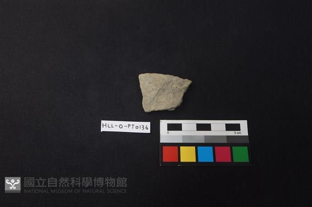 陶片藏品圖，第1張