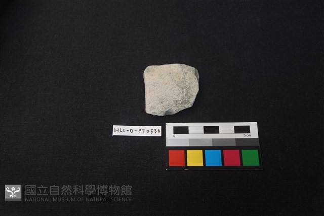 陶片藏品圖，第1張