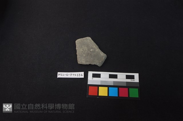 陶片藏品圖，第1張